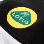 View Lotus Face Mask Full-Sized Product Image